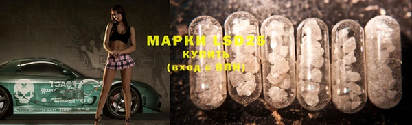 мяу мяу мука Пестово