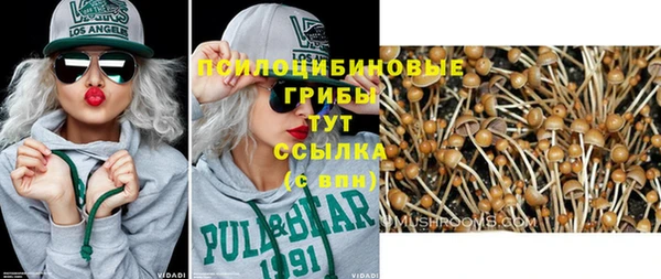 дурь Балахна
