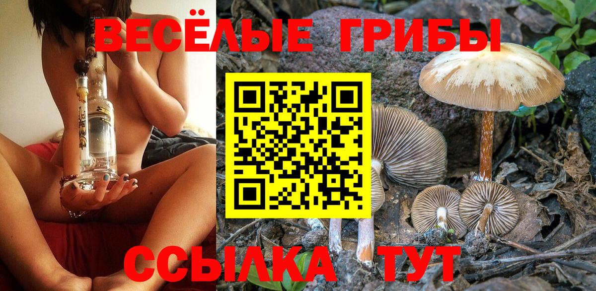 Псилоцибиновые грибы MAGIC MUSHROOMS  Псилоцибиновые грибы Psilocybine cubensis  Соль-Илецк  Вход с VPN 